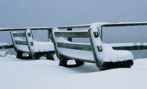 Benches in Snow. Yellowstone National Park, 1978