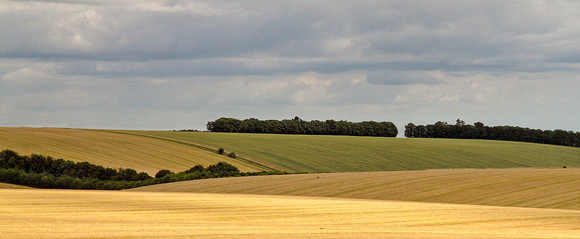 Wheat Fields, Stonehenge, UK